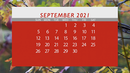 Thumbnail image for September Government Meetings