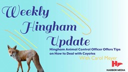 Thumbnail image for  Hingham Animal Control Officer Offers Tips on How to Deal with Coyotes | Weekly Hingham Update with Carol Meyer