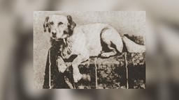 Thumbnail image for Hingham Historical Society Presents: Family Day