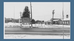 Thumbnail image for Waves of Change Lastring Imprints of WWI and WWII